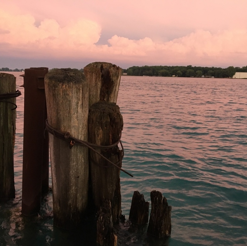 Meet your Posher, Holly